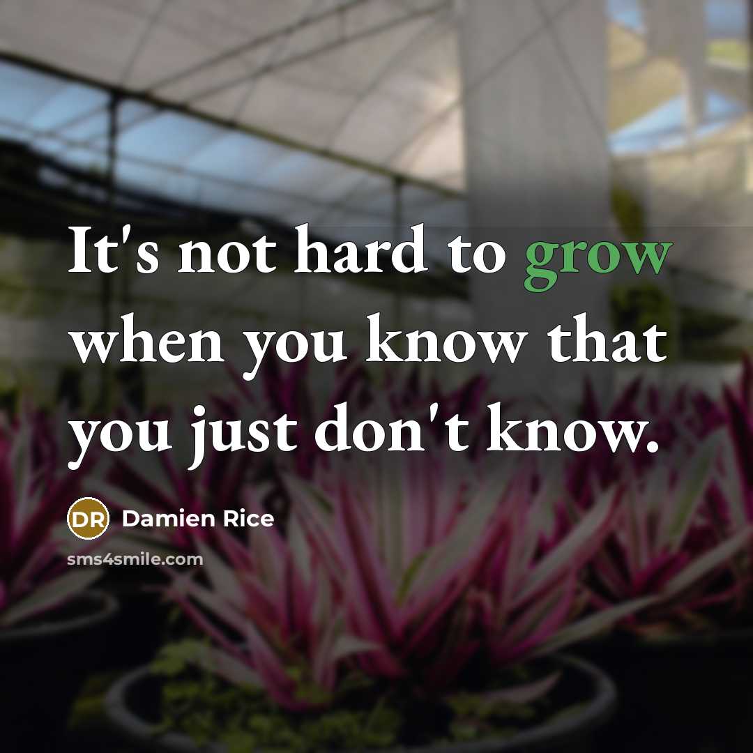 “It's not hard to grow when you know that you just don't know.” quote by Damien Rice