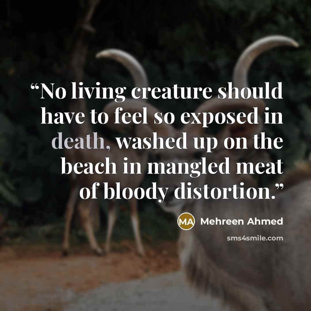 “No living creature should have to feel so exposed in death, washed up on the beach in mangled meat of bloody distortion.” quote by Mehreen Ahmed