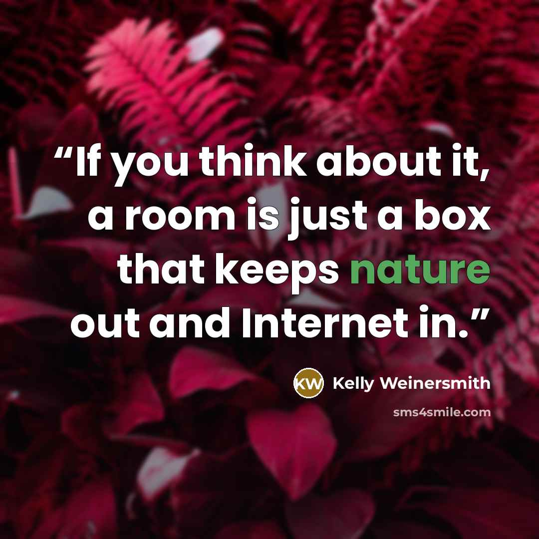 “If you think about it, a room is just a box that keeps nature out and Internet in.” quote by Kelly Weinersmith