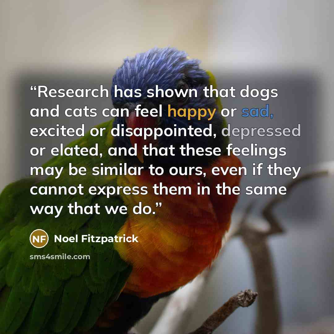 “Research has shown that dogs and cats can feel happy or sad, excited or disappointed, depressed or elated, and that these feelings may be similar to ours, even if they cannot express them in the same way that we do.” quote by Noel Fitzpatrick