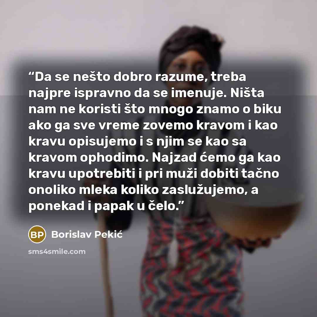 “Da se nešto dobro razume, treba najpre ispravno da se imenuje. Ništa nam ne koristi što mnogo znamo o biku ako ga sve vreme zovemo kravom i kao kravu opisujemo i s njim se kao sa kravom ophodimo. Najzad ćemo ga kao kravu upotrebiti i pri muži dobiti tačno onoliko mleka koliko zaslužujemo, a…” quote by Borislav Pekić
