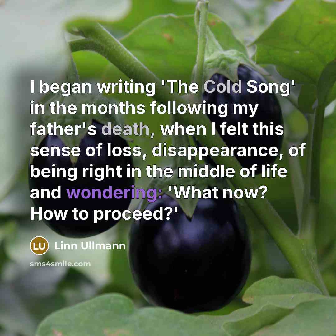 “I began writing 'The Cold Song' in the months following my father's death, when I felt this sense of loss, disappearance, of being right in the middle of life and wondering: 'What now? How to proceed?'” quote by Linn Ullmann