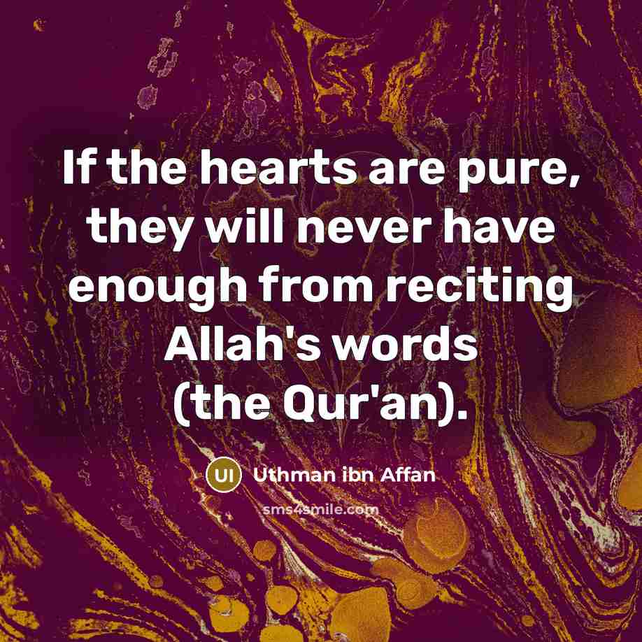 “If the hearts are pure, they will never have enough from reciting Allah's words (the Qur'an).” quote by Uthman ibn Affan
