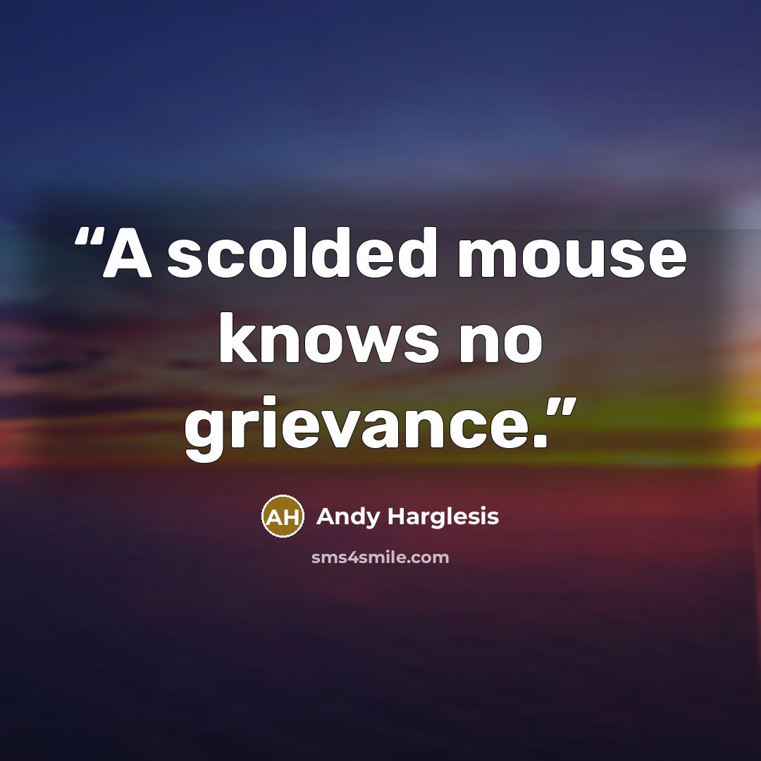“A scolded mouse knows no grievance.” quote by Andy Harglesis
