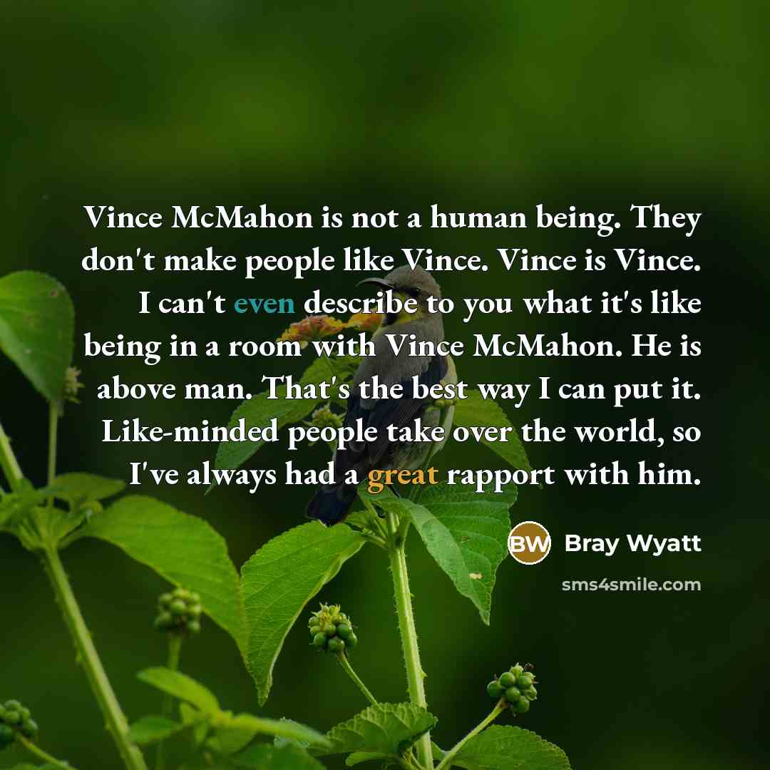 “Vince McMahon is not a human being. They don't make people like Vince. Vince is Vince. I can't even describe to you what it's like being in a room with Vince McMahon. He is above man. That's the best way I can put it. Like-minded people take over the world, so I've always had a great rapport with…” quote by Bray Wyatt