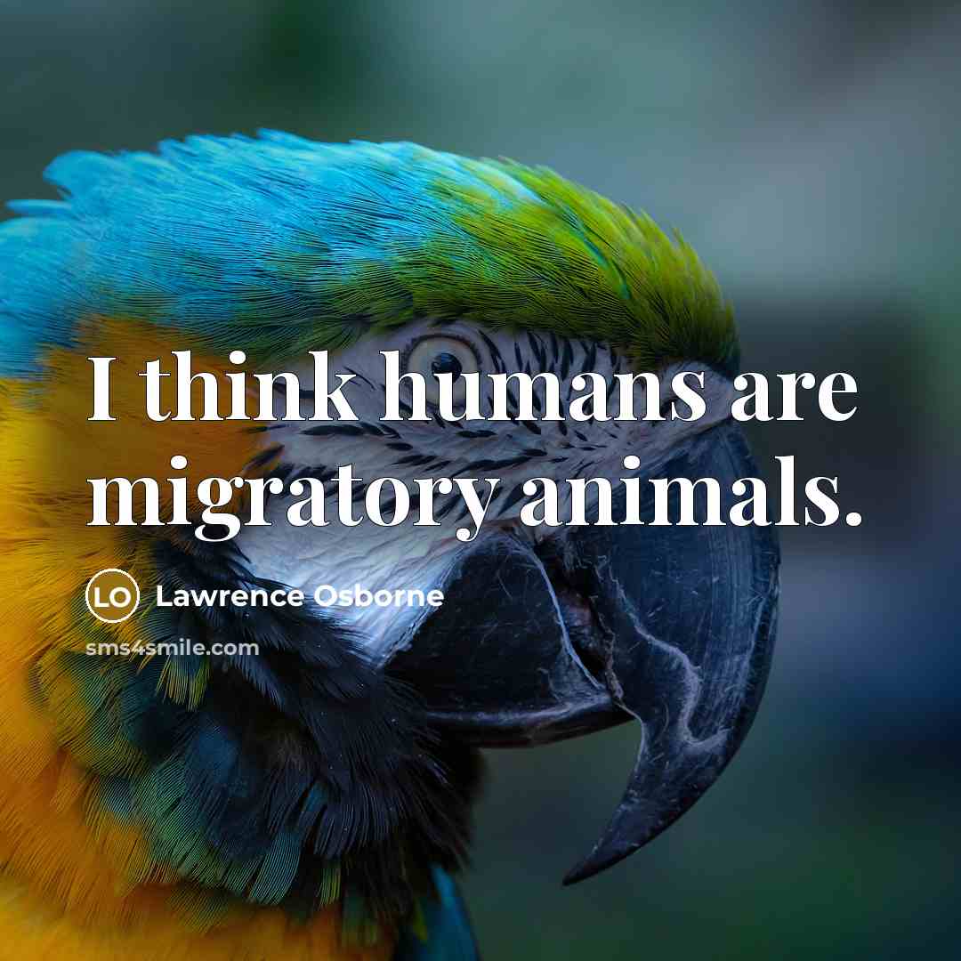 “I think humans are migratory animals.” quote by Lawrence Osborne