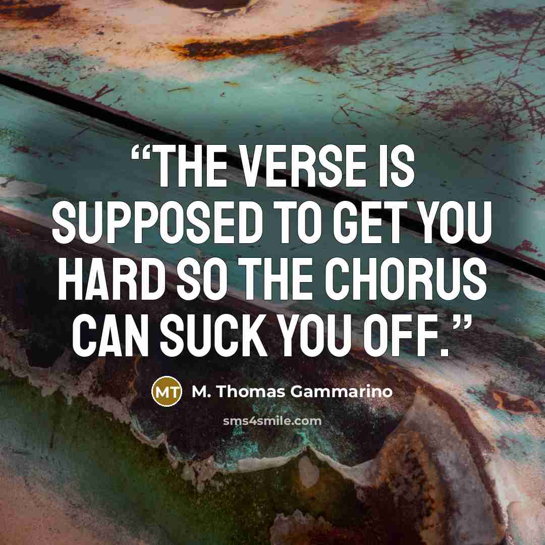 “The verse is supposed to get you hard so the chorus can suck you off.” quote by M. Thomas Gammarino