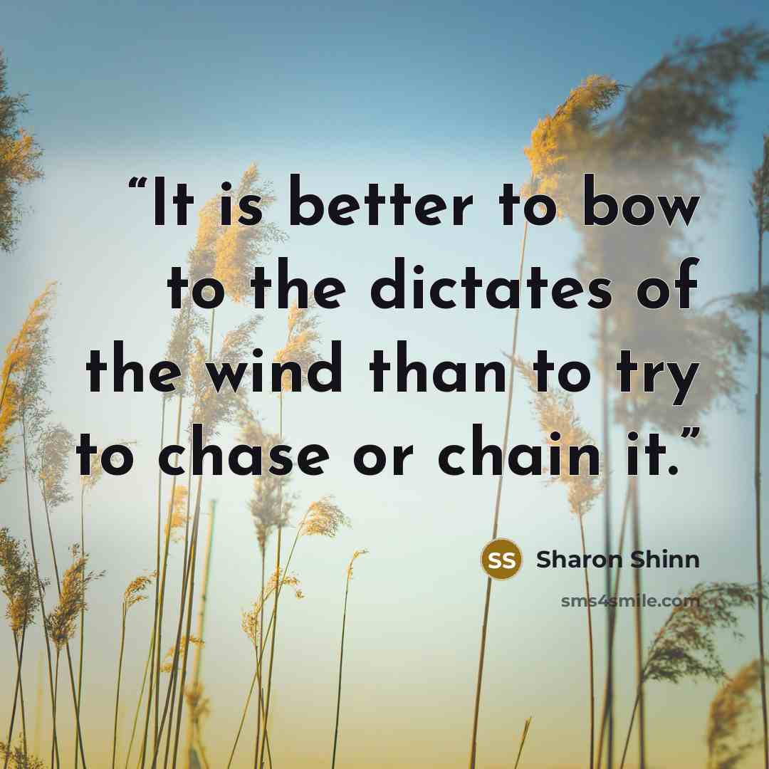 “It is better to bow to the dictates of the wind than to try to chase or chain it.” quote by Sharon Shinn