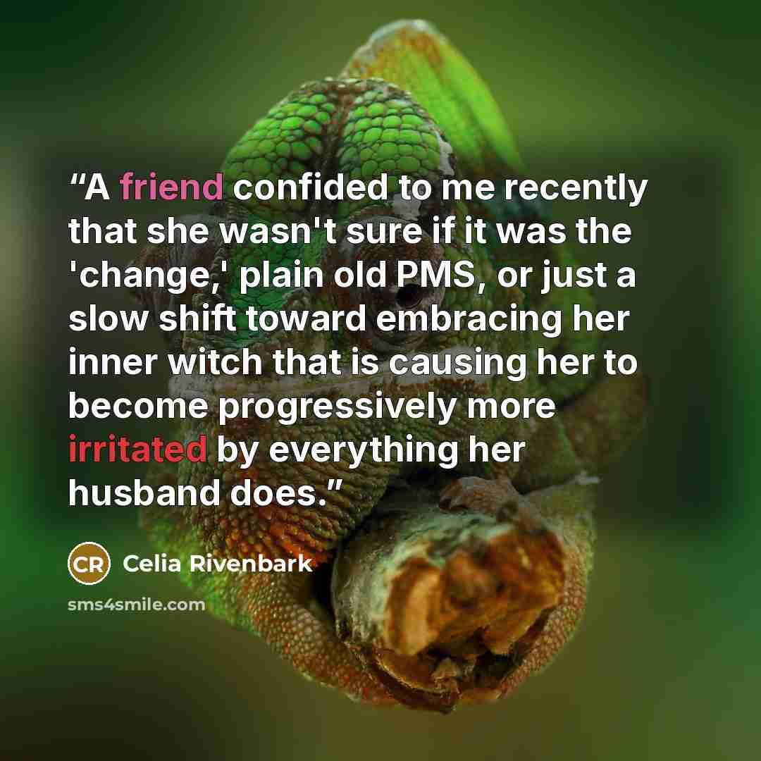 “A friend confided to me recently that she wasn't sure if it was the 'change,' plain old PMS, or just a slow shift toward embracing her inner witch that is causing her to become progressively more irritated by everything her husband does.” quote by Celia Rivenbark