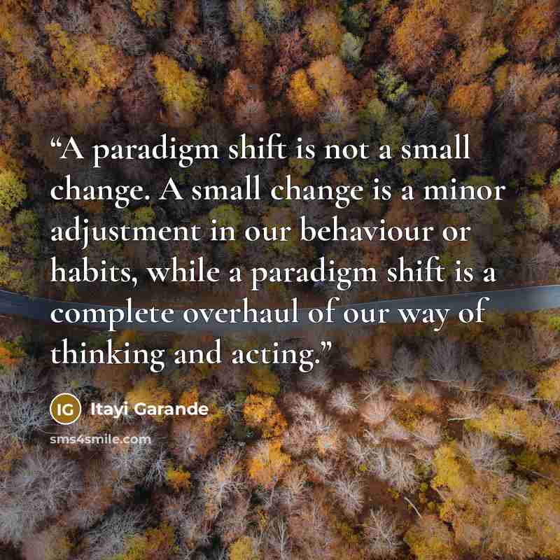 “A paradigm shift is not a small change. A small change is a minor adjustment in our behaviour or habits, while a paradigm shift is a complete overhaul of our way of thinking and acting.” quote by Itayi Garande