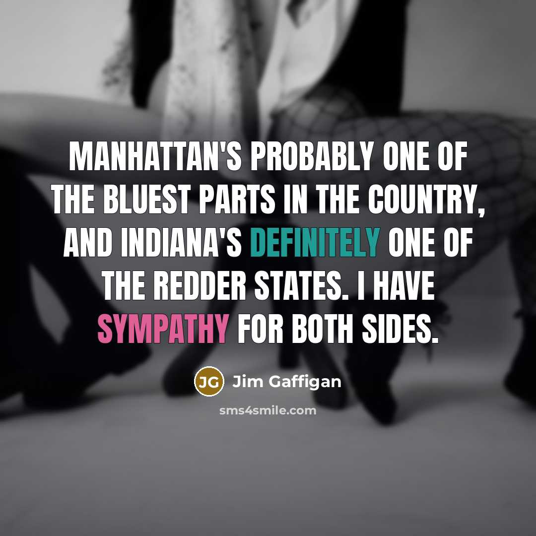 “Manhattan's probably one of the bluest parts in the country, and Indiana's definitely one of the redder states. I have sympathy for both sides.” quote by Jim Gaffigan