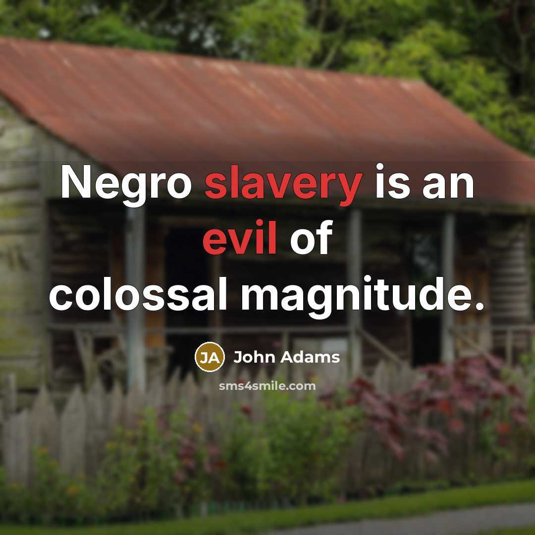 “Negro slavery is an evil of colossal magnitude.” quote by John Adams