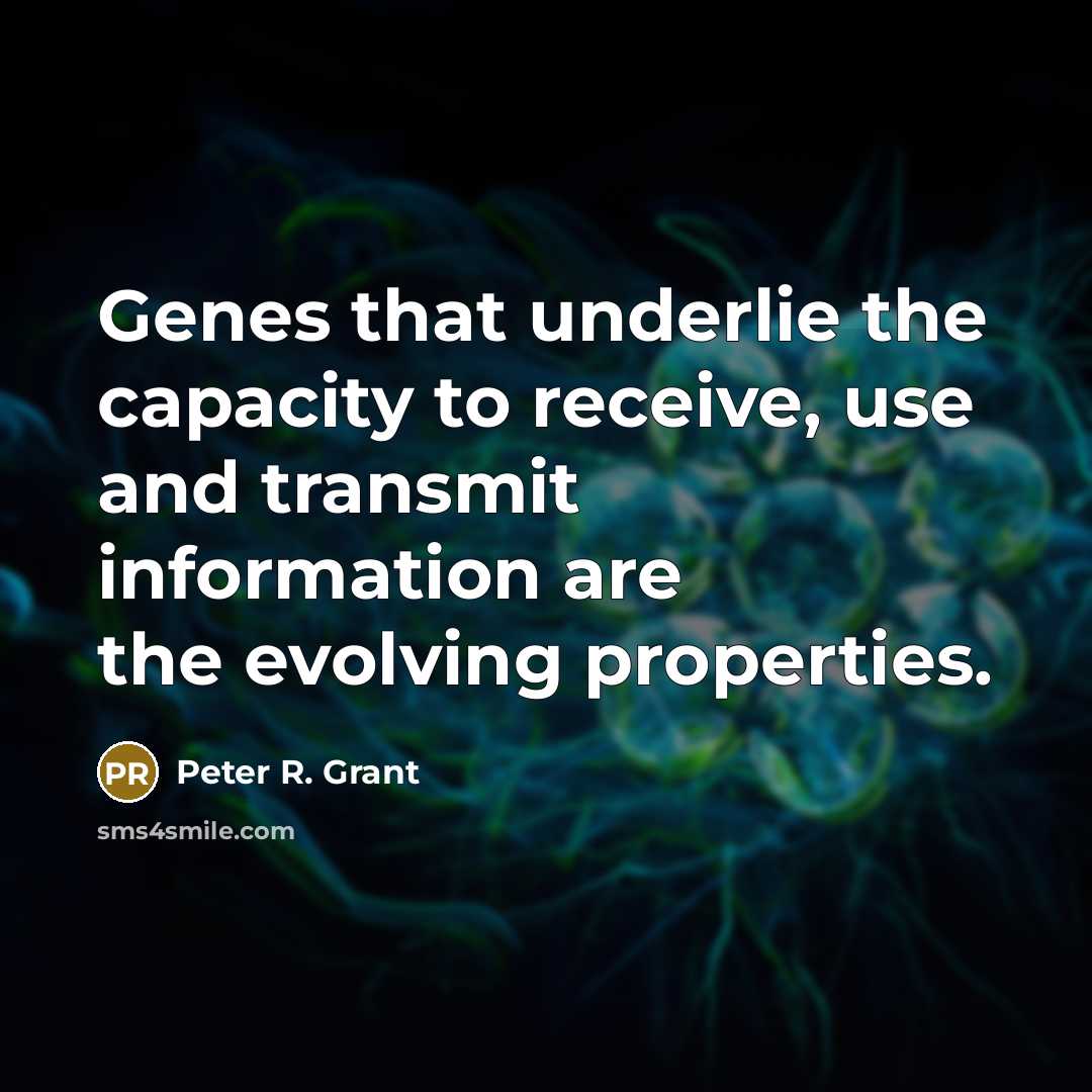“Genes that underlie the capacity to receive, use and transmit information are the evolving properties.” quote by Peter R. Grant