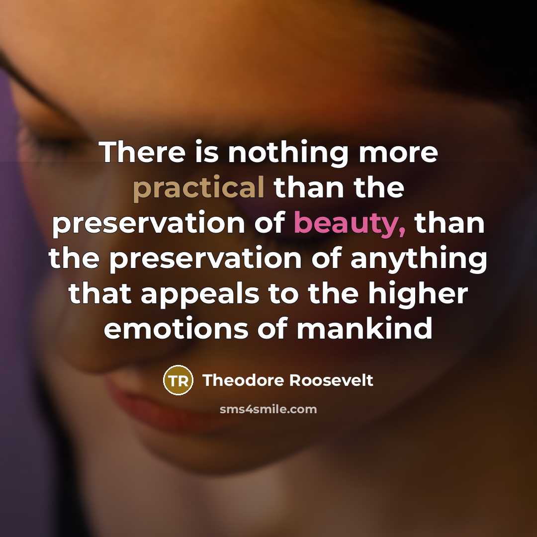 “There is nothing more practical than the preservation of beauty, than the preservation of anything that appeals to the higher emotions of mankind” quote by Theodore Roosevelt