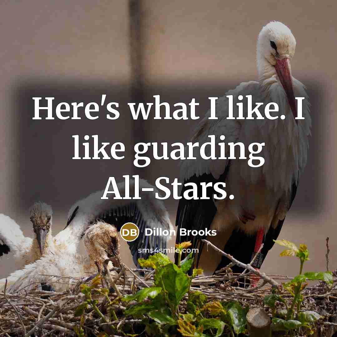 “Here's what I like. I like guarding All-Stars.” quote by Dillon Brooks