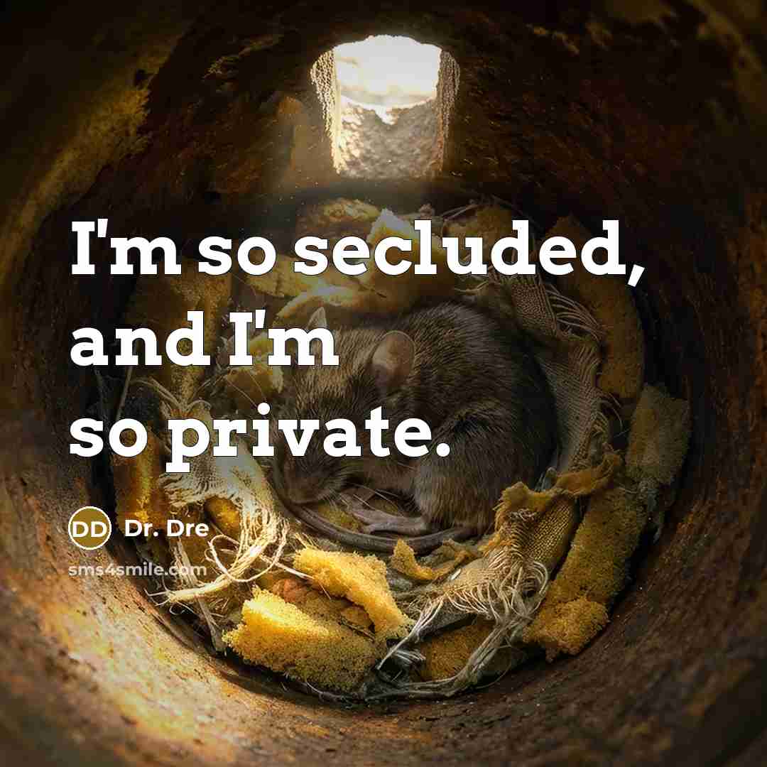 “I'm so secluded, and I'm so private.” quote by Dr. Dre