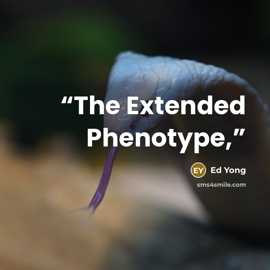 “The Extended Phenotype,” quote by Ed Yong