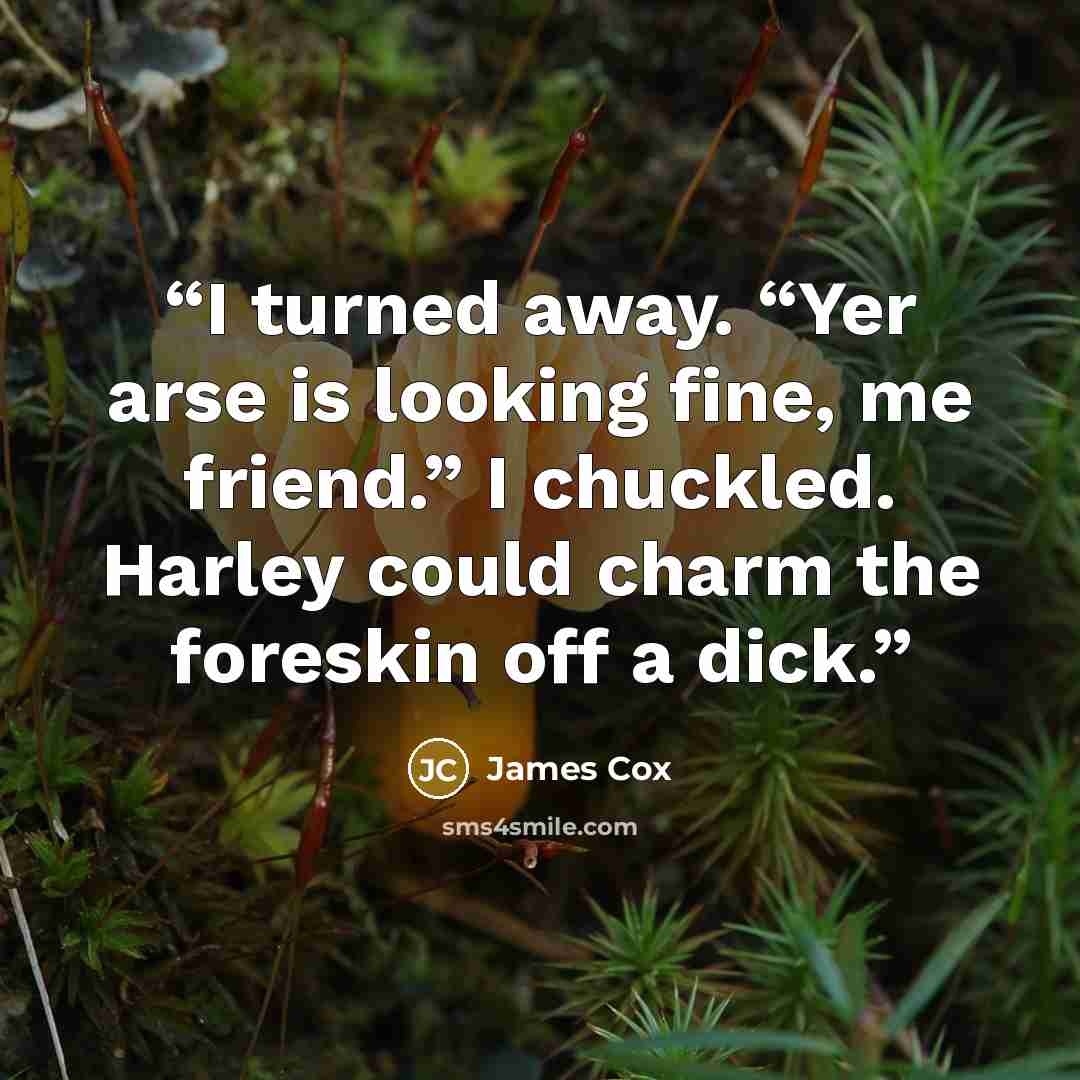 “I turned away. “Yer arse is looking fine, me friend.” I chuckled. Harley could charm the foreskin off a dick.” quote by James Cox