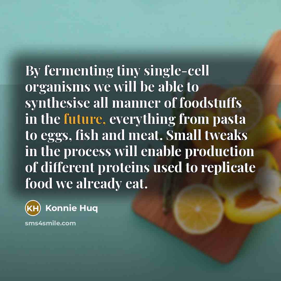 “By fermenting tiny single-cell organisms we will be able to synthesise all manner of foodstuffs in the future, everything from pasta to eggs, fish and meat. Small tweaks in the process will enable production of different proteins used to replicate food we already eat.” quote by Konnie Huq