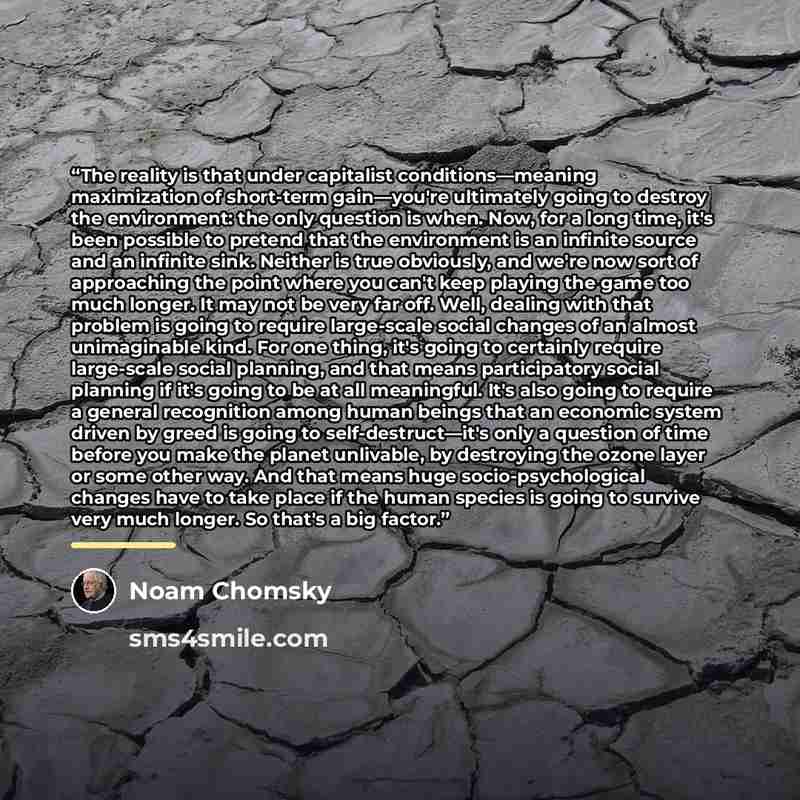 “The reality is that under capitalist conditions―meaning maximization of short-term gain―you're ultimately going to destroy the environment: the only question is when. Now, for a long time, it's been possible to pretend that the environment is an infinite source and an infinite sink. Neither is…” quote by Noam Chomsky