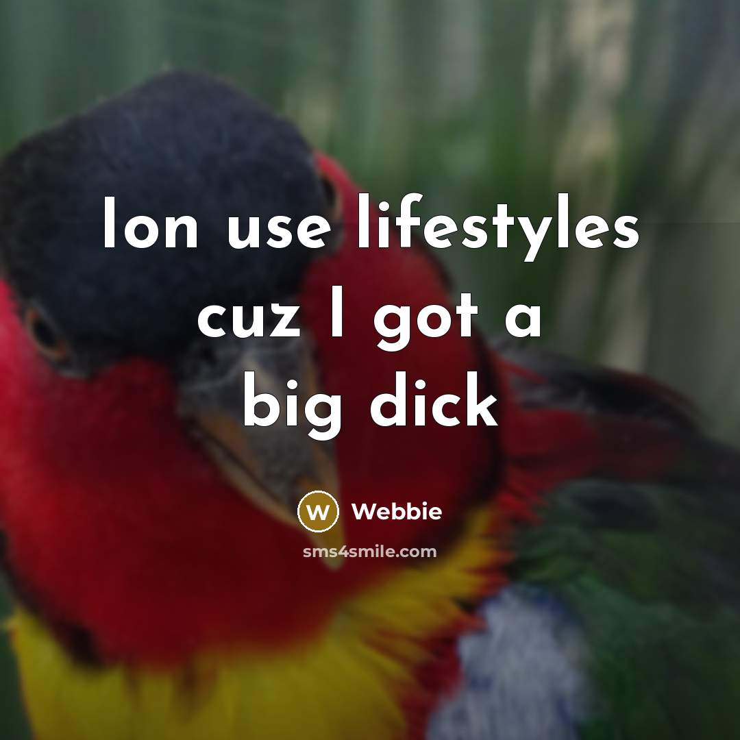 “Ion use lifestyles cuz I got a big dick” quote by Webbie