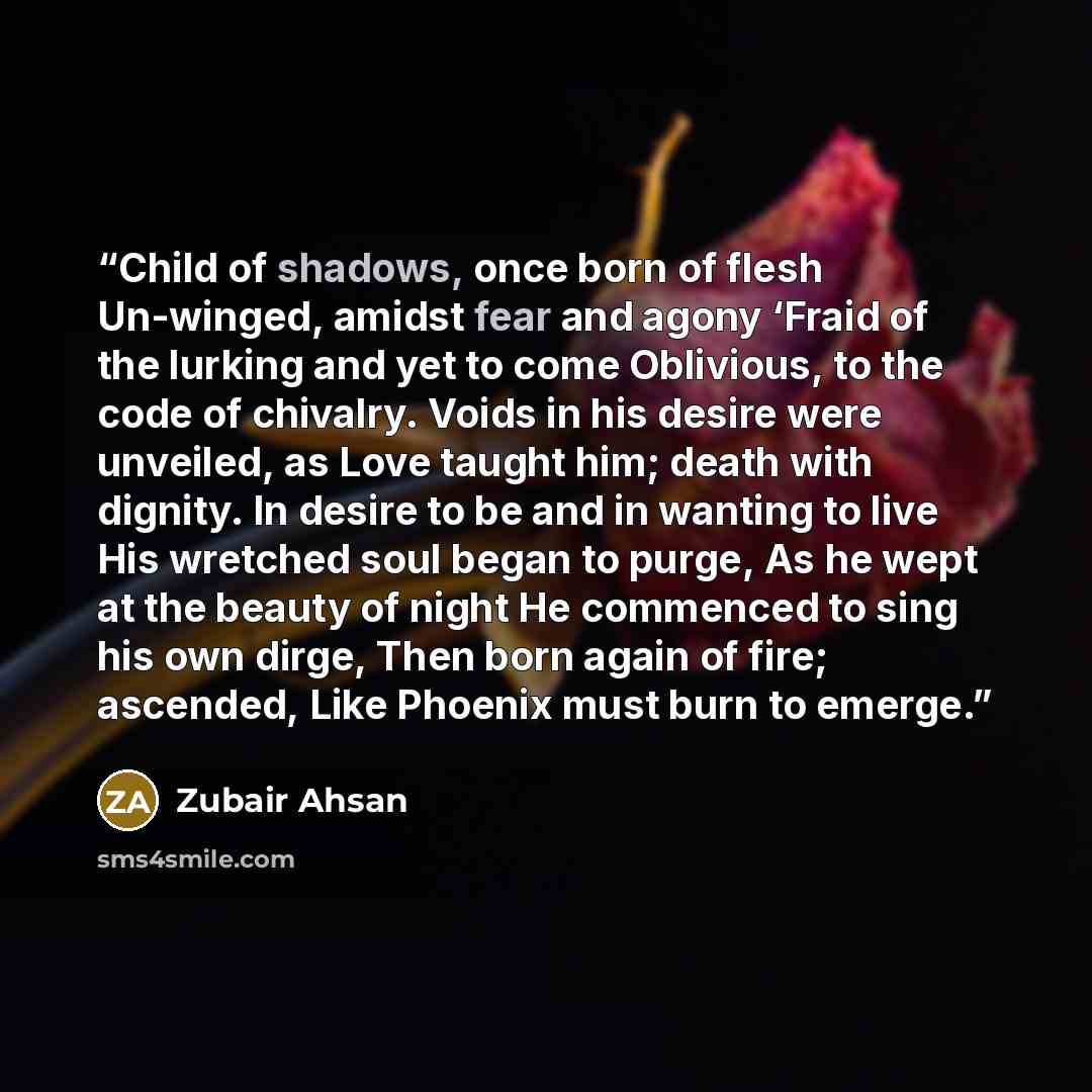 “Child of shadows, once born of flesh Un-winged, amidst fear and agony ‘Fraid of the lurking and yet to come Oblivious, to the code of chivalry. Voids in his desire were unveiled, as Love taught him; death with dignity. In desire to be and in wanting to live His wretched soul began to purge, As he…” quote by Zubair Ahsan