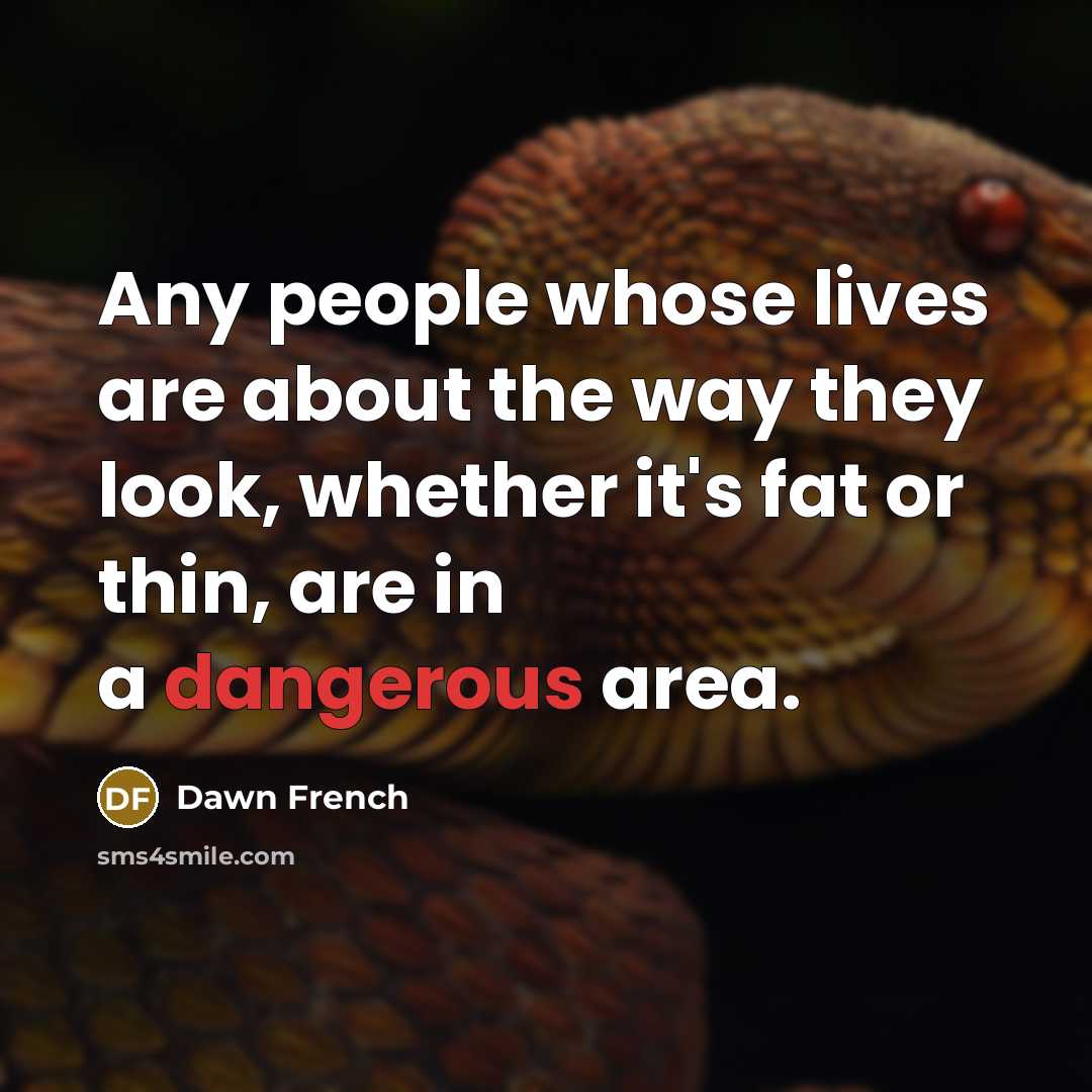 “Any people whose lives are about the way they look, whether it's fat or thin, are in a dangerous area.” quote by Dawn French