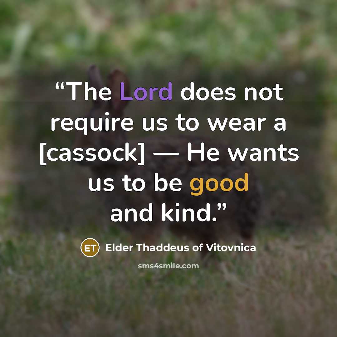 “The Lord does not require us to wear a [cassock] — He wants us to be good and kind.” quote by Elder Thaddeus of Vitovnica