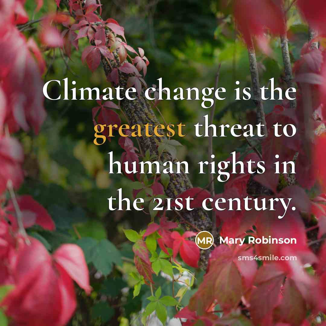 “Climate change is the greatest threat to human rights in the 21st century.” quote by Mary Robinson