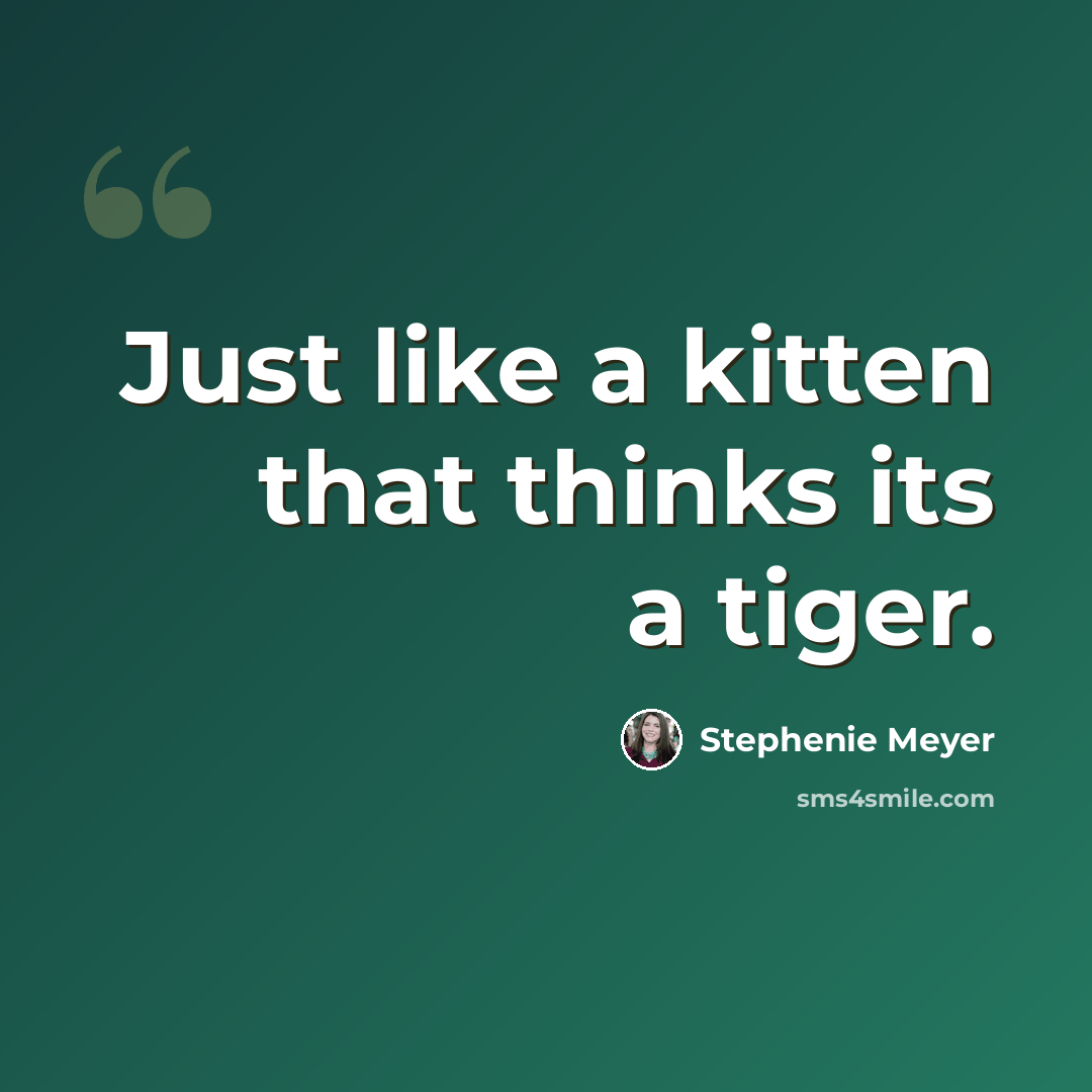“Just like a kitten that thinks its a tiger.” quote by Stephenie Meyer
