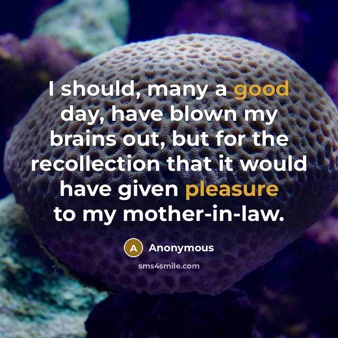 “I should, many a good day, have blown my brains out, but for the recollection that it would have given pleasure to my mother-in-law.” quote by Anonymous