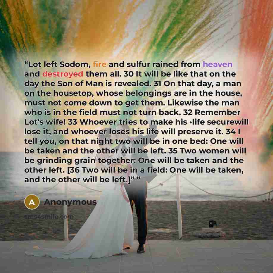 “Lot left Sodom, fire and sulfur rained from heaven and destroyed them all. 30 It will be like that on the day the Son of Man is revealed. 31 On that day, a man on the housetop, whose belongings are in the house, must not come down to get them. Likewise the man who is in the field must not turn…” quote by Anonymous