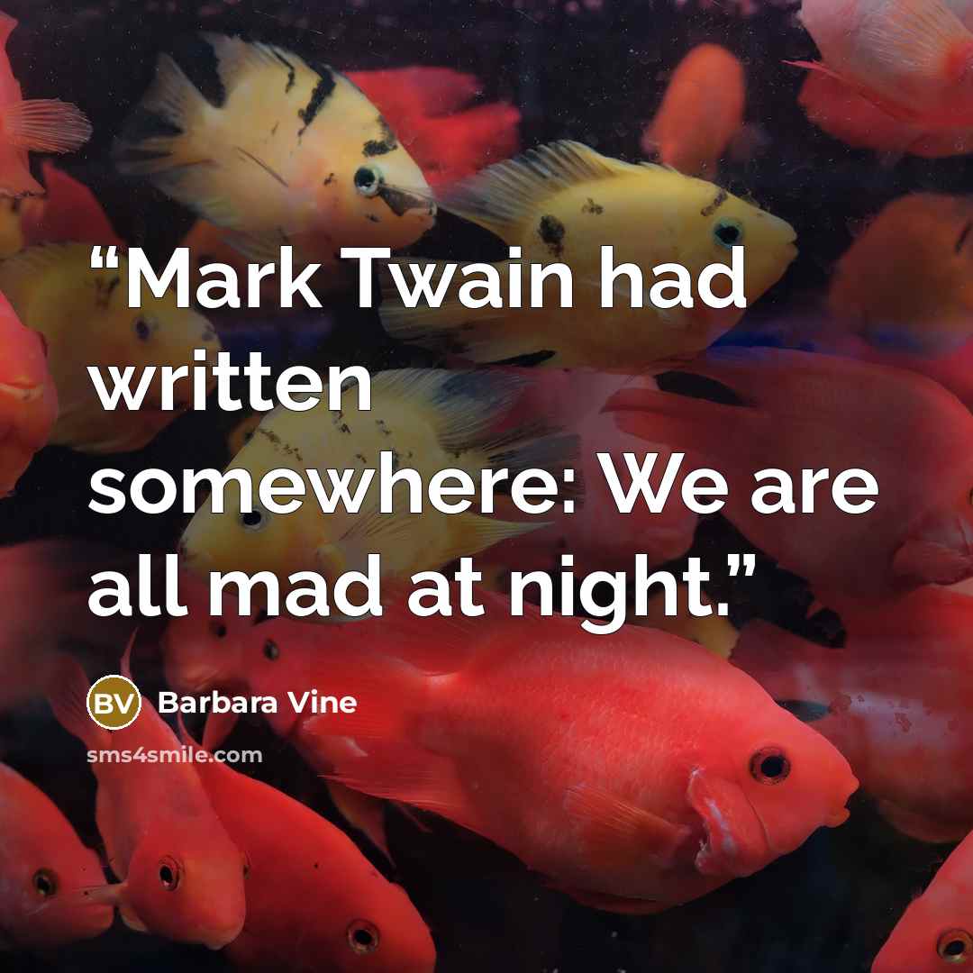 “Mark Twain had written somewhere: We are all mad at night.” quote by Barbara Vine