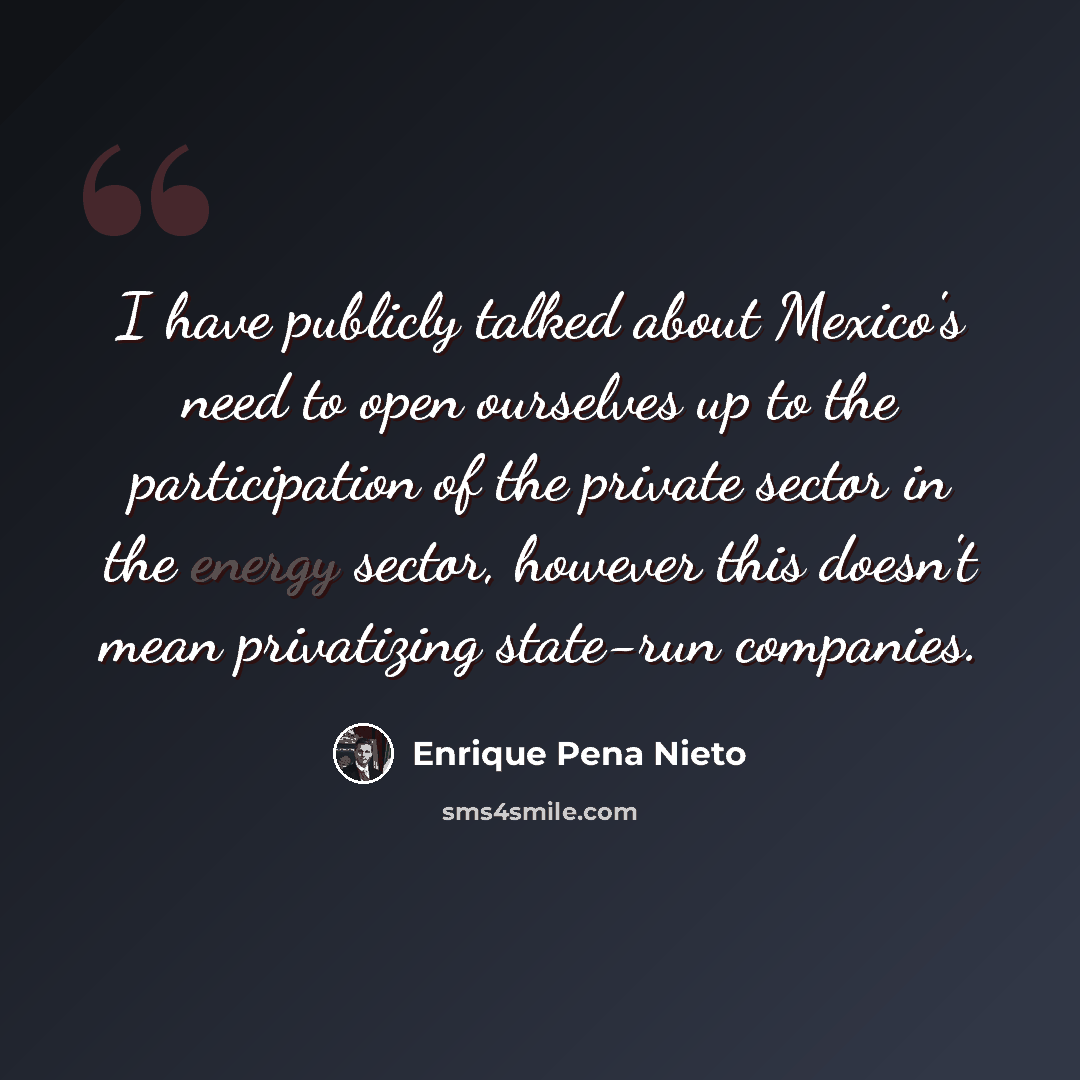 “I have publicly talked about Mexico's need to open ourselves up to the participation of the private sector in the energy sector, however this doesn't mean privatizing state-run companies.” quote by Enrique Pena Nieto