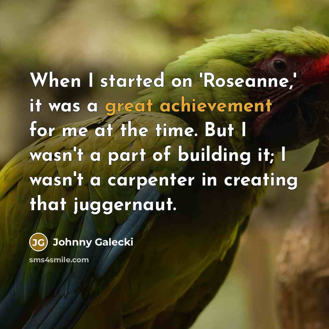 “When I started on 'Roseanne,' it was a great achievement for me at the time. But I wasn't a part of building it; I wasn't a carpenter in creating that juggernaut.” quote by Johnny Galecki