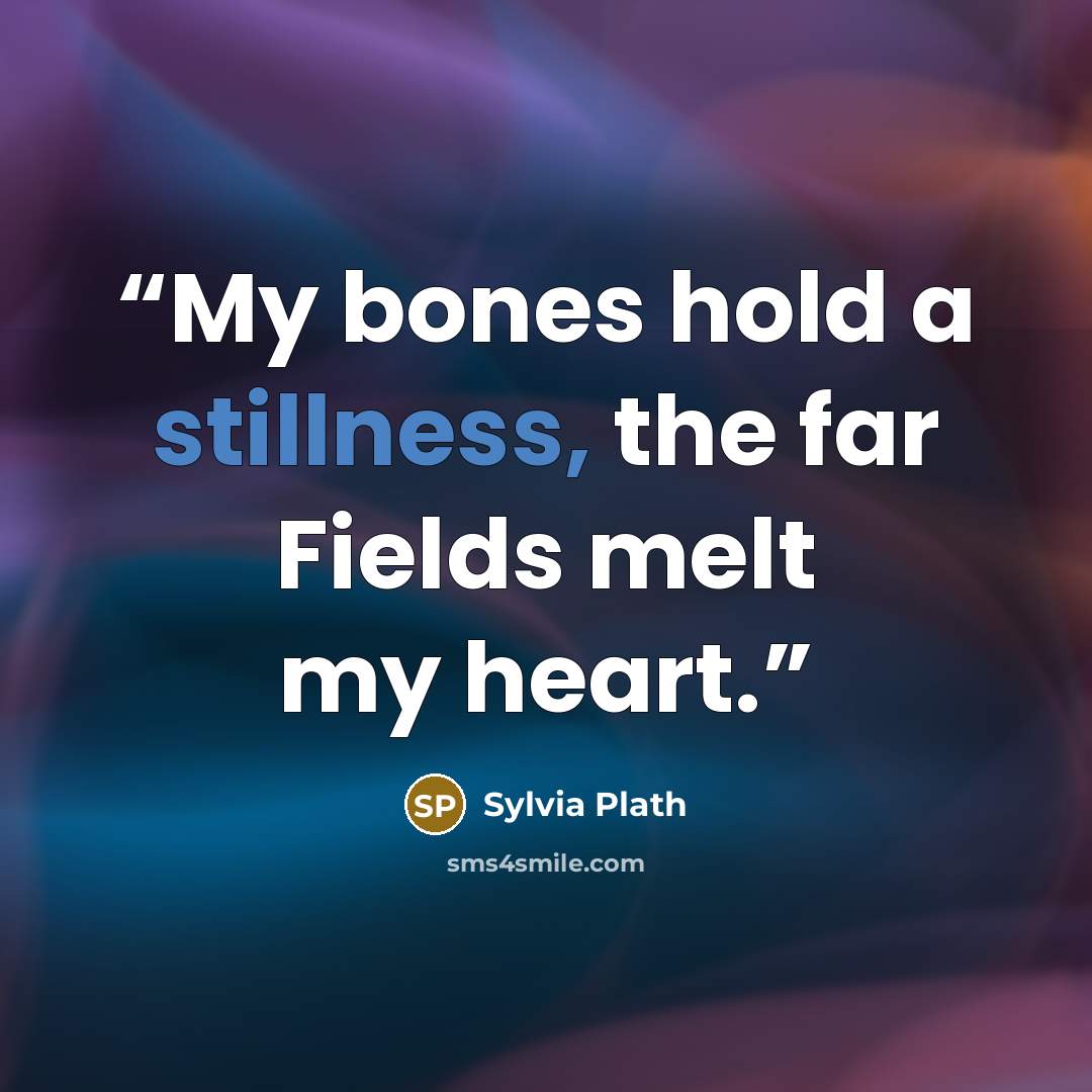 “My bones hold a stillness, the far Fields melt my heart.” quote by Sylvia Plath