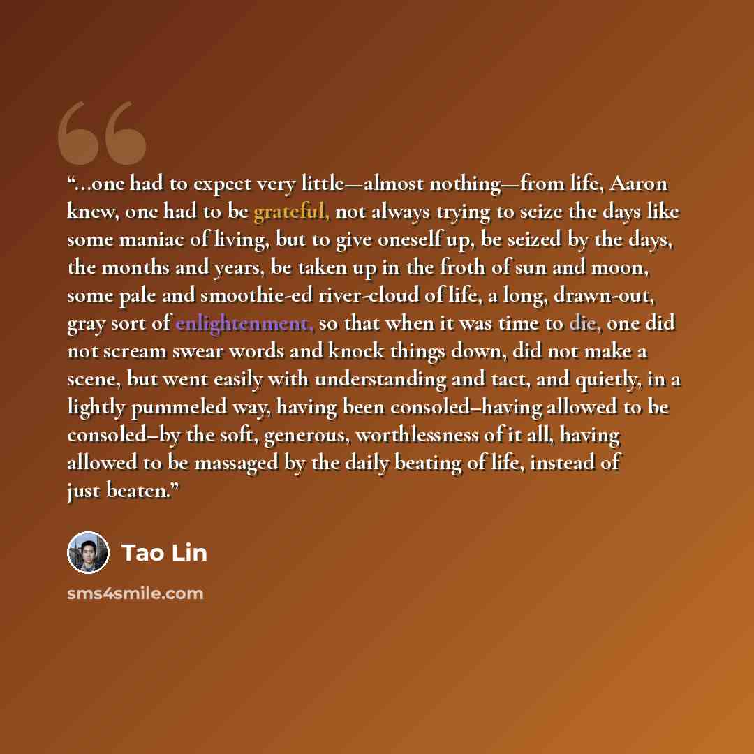 “...one had to expect very little—almost nothing—from life, Aaron knew, one had to be grateful, not always trying to seize the days like some maniac of living, but to give oneself up, be seized by the days, the months and years, be taken up in the froth of sun and moon, some pale and smoothie-ed…” quote by Tao Lin