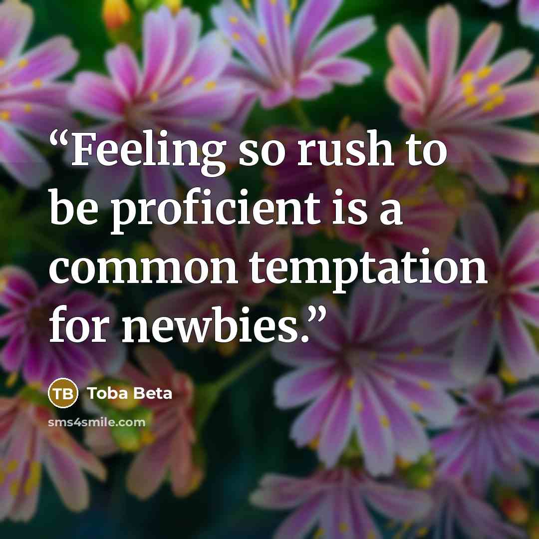 “Feeling so rush to be proficient is a common temptation for newbies.” quote by Toba Beta