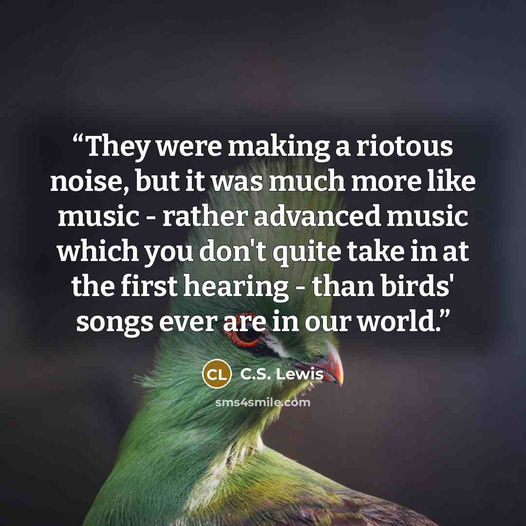 “They were making a riotous noise, but it was much more like music - rather advanced music which you don't quite take in at the first hearing - than birds' songs ever are in our world.” quote by C.S. Lewis