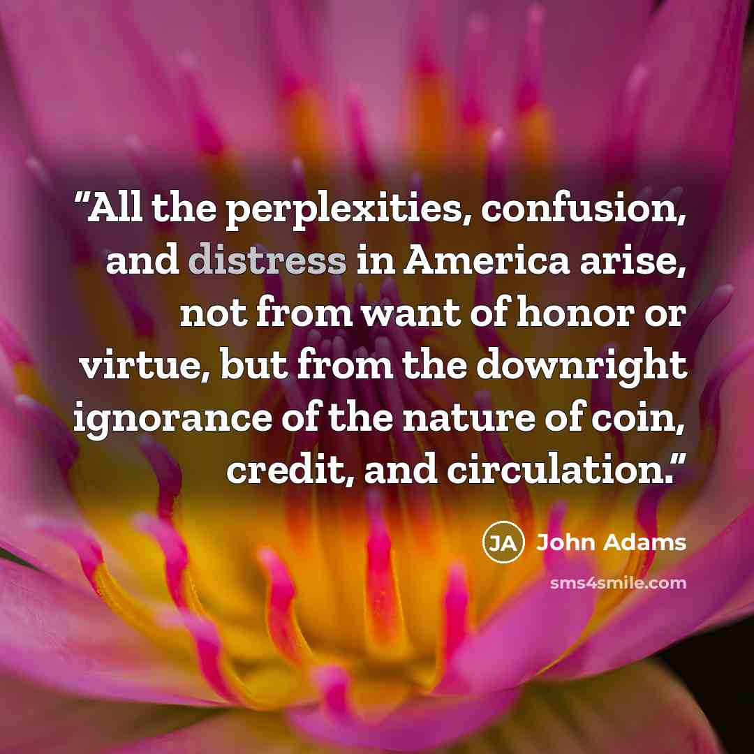 “All the perplexities, confusion, and distress in America arise, not from want of honor or virtue, but from the downright ignorance of the nature of coin, credit, and circulation.” quote by John Adams