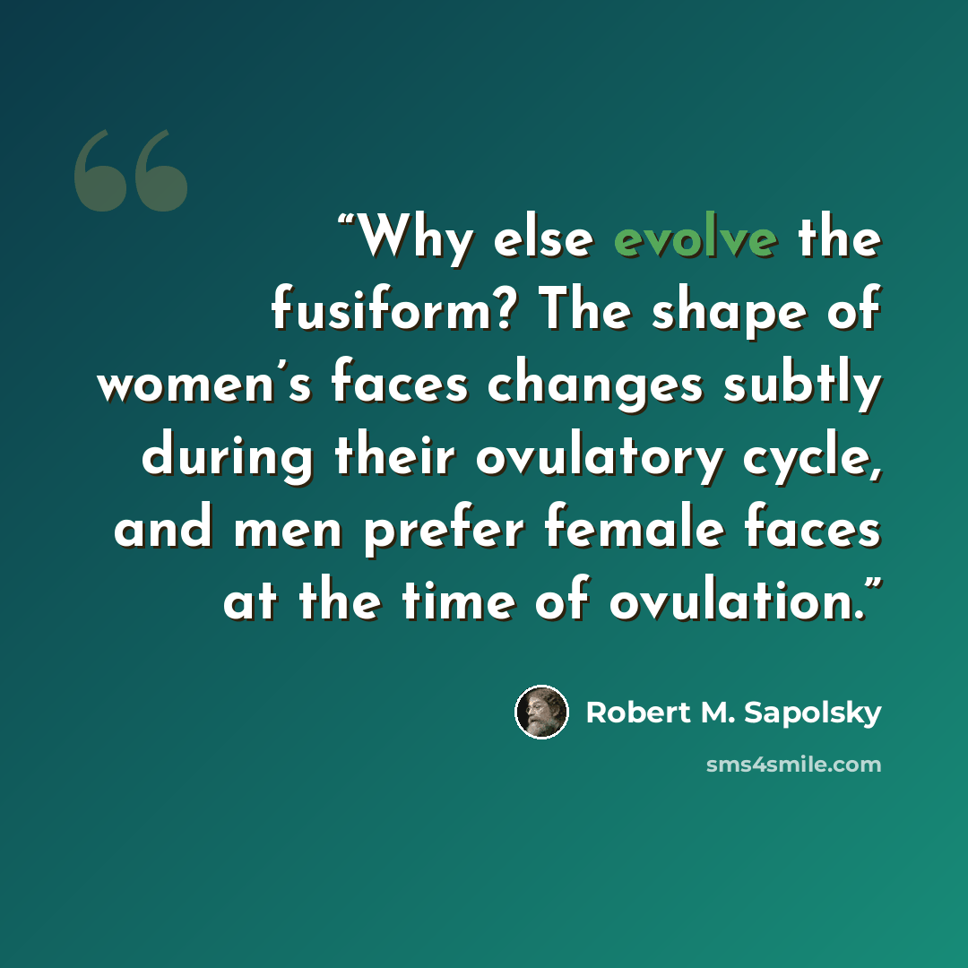 “Why else evolve the fusiform? The shape of women’s faces changes subtly during their ovulatory cycle, and men prefer female faces at the time of ovulation.” quote by Robert M. Sapolsky