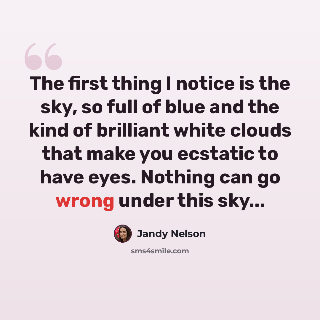 “The first thing I notice is the sky, so full of blue and the kind of brilliant white clouds that make you ecstatic to have eyes. Nothing can go wrong under this sky...” quote by Jandy Nelson