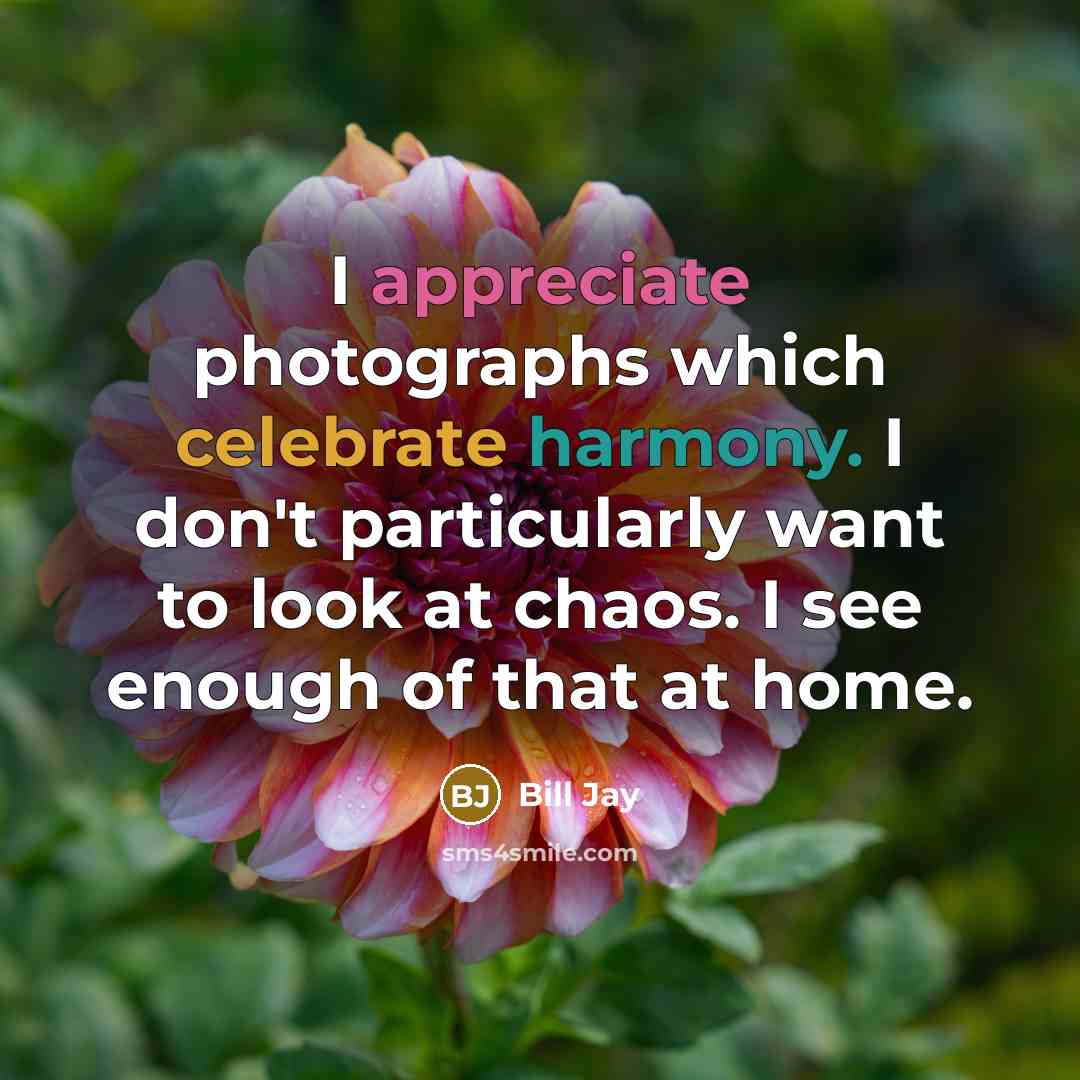“I appreciate photographs which celebrate harmony. I don't particularly want to look at chaos. I see enough of that at home.” quote by Bill Jay