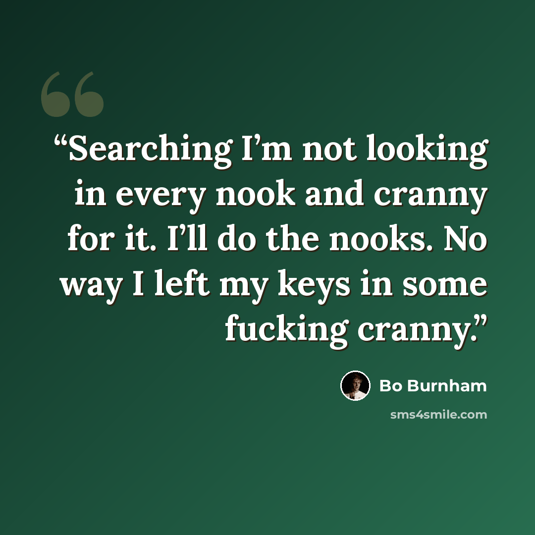 “Searching I’m not looking in every nook and cranny for it. I’ll do the nooks. No way I left my keys in some fucking cranny.” quote by Bo Burnham
