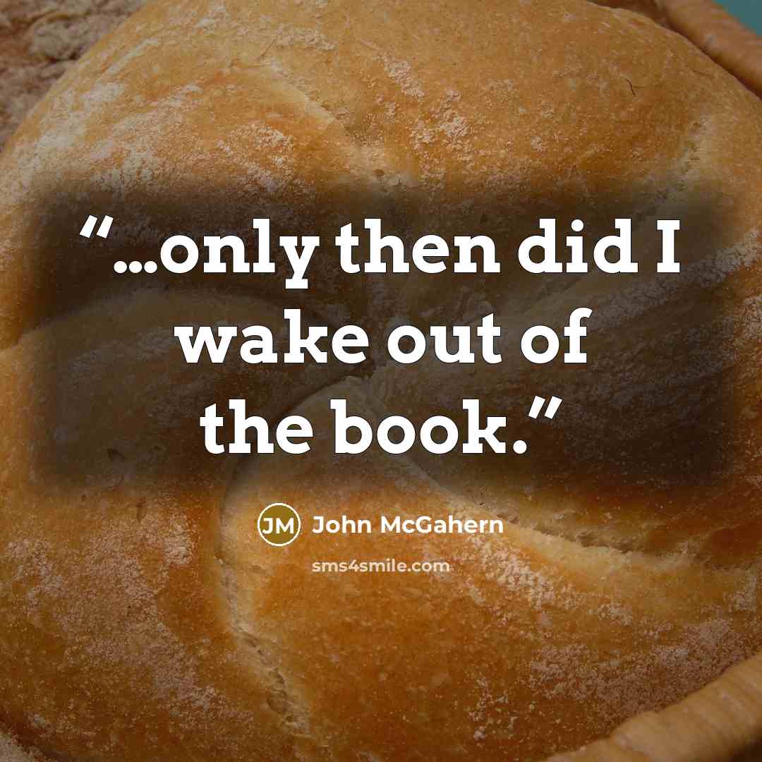 “…only then did I wake out of the book.” quote by John McGahern