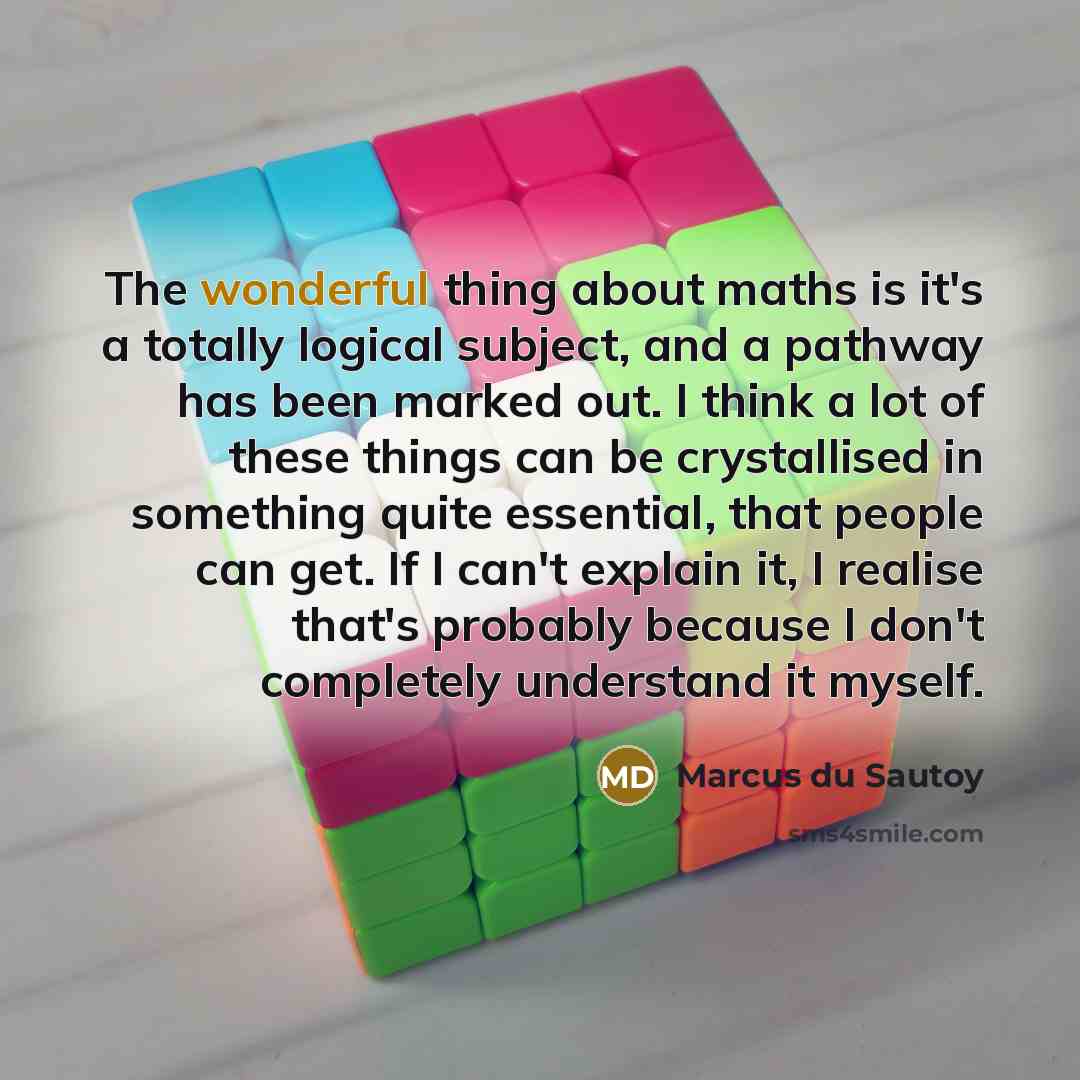 “The wonderful thing about maths is it's a totally logical subject, and a pathway has been marked out. I think a lot of these things can be crystallised in something quite essential, that people can get. If I can't explain it, I realise that's probably because I don't completely understand it myself.” quote by Marcus du Sautoy