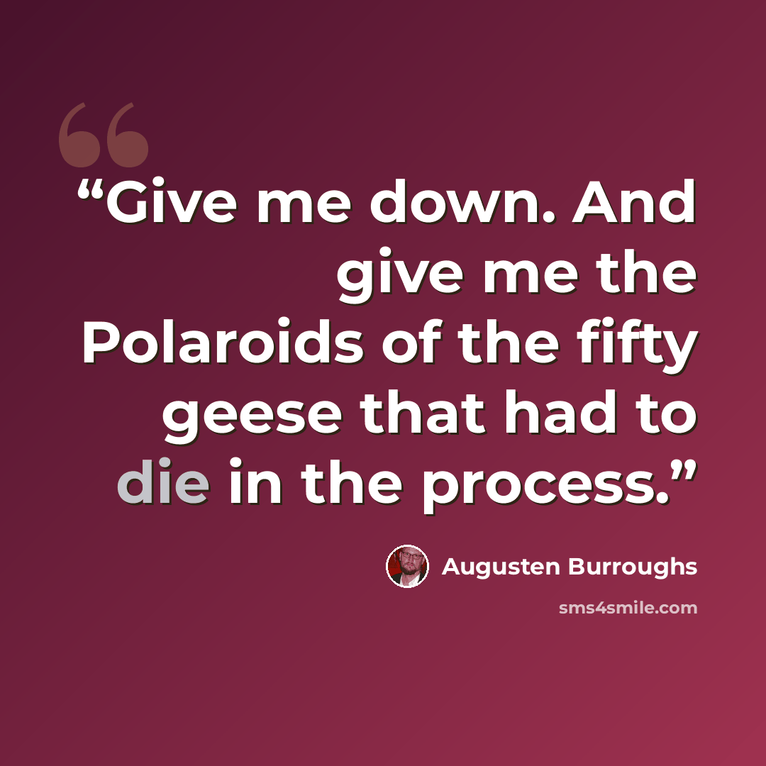 “Give me down. And give me the Polaroids of the fifty geese that had to die in the process.” quote by Augusten Burroughs