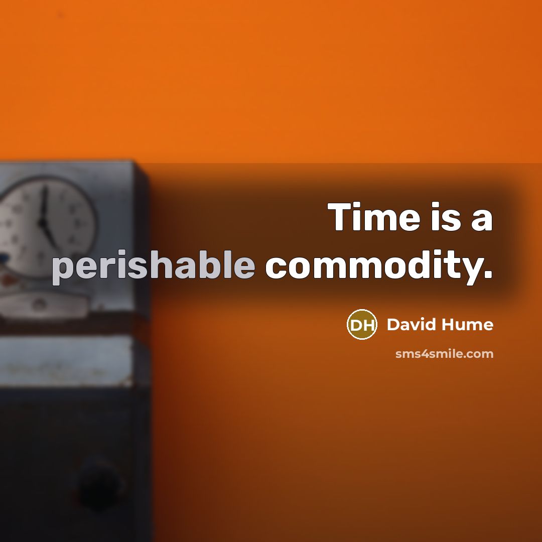 “Time is a perishable commodity.” quote by David Hume