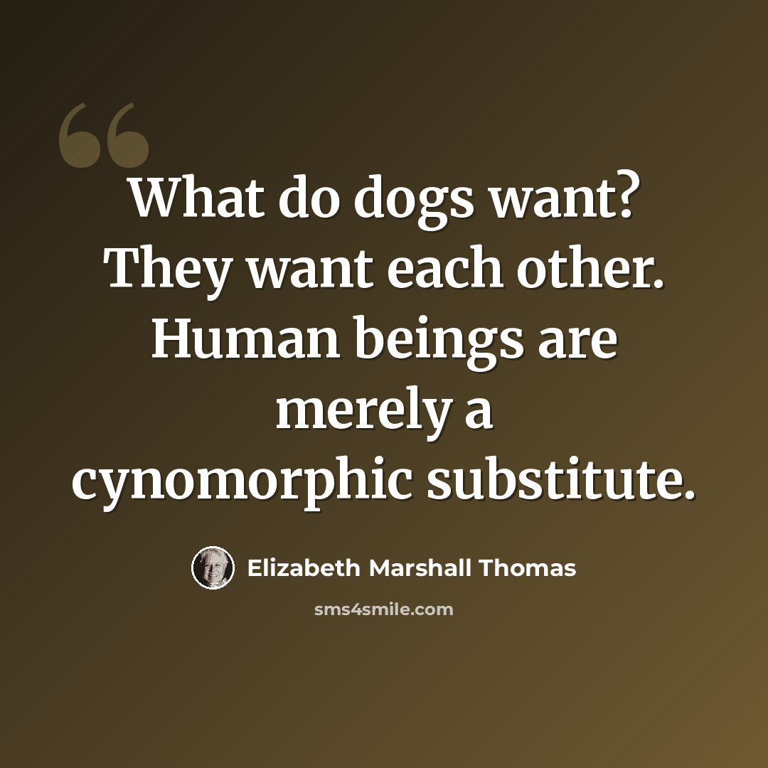 “What do dogs want? They want each other. Human beings are merely a cynomorphic substitute.” quote by Elizabeth Marshall Thomas