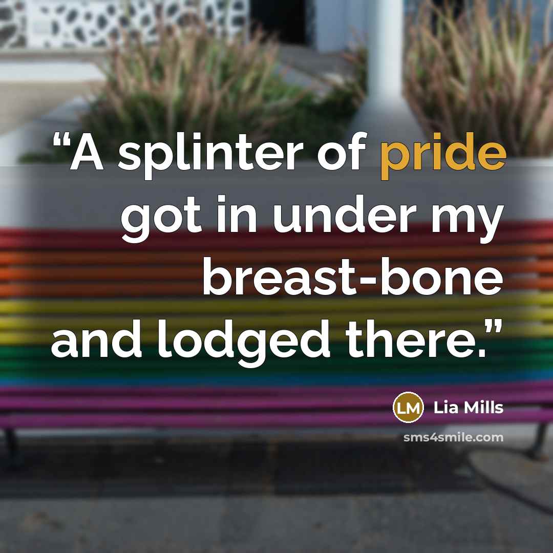 “A splinter of pride got in under my breast-bone and lodged there.” quote by Lia Mills